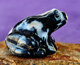 Zebra Jasper Crystal Frog Carving 🐸✨🥹💎