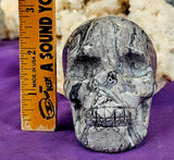 LG. Shell Jasper Crystal Skull 💀🩶🤯🤩🤍
