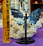 Crazy Lace Agate Crystal Butterfly Carving on Black Metal Display Stand #2 🖤🦋💛✨🤍