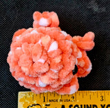 Handmade Crocheted Strawberries and Cream Octobaby Plushie 🦑🥹🐙