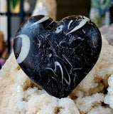 MD. Unique Black & White Fossilized Coral Crystal Puffy Heart Stone 🖤✨🐚🪸🤍