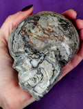 LG. Shell Jasper Crystal Skull 💀🩶🤯🤩🤍
