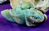 XL Caribbean Calcite Crystal Frog on Flower Carving ✨🐸🤯🤩💎🐚🌊🪸🐸