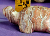 Hand Carved Mexican Lace Agate Crystal Turtle Figurine