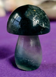 Assorted Fluorite Crystal Mushroom 🍄🌈✨💜