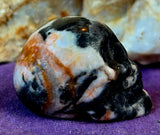 Yellow Zebra Jasper Crystal Mini Skull 💀 🦓💛🤍🖤✨