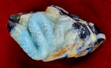 LG. Caribbean Calcite Crystal Eel on Rock 🌊🐚🪸