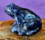 Sodalite Crystal Frog Carving 🐸✨🥹💎