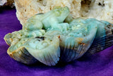 XL Caribbean Calcite Crystal Frog on Flower Carving ✨🐸🤯🤩💎🐚🌊🪸🐸