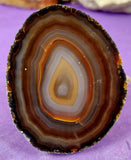 Queensland Agate Crystal Polished Geode 💥✨🔥🪨