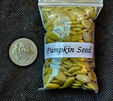 Fresh Cut & Dried Organic Pumpkin Seeds Herb 🌿🌰🎃🍄