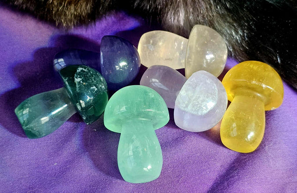Assorted Fluorite Crystal Mushroom 🍄🌈✨💜