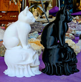 LG. 3D Printed Cat Perched on Skull Decor