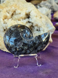 Larvikite Crystal Shell 🩶✨🌘🐚🖤