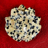 Dalmatian Jasper Crystal Frog Figurine 🐸