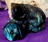 LG. Rainbow Flash Labradorite Crystal Lizard Basking on Rock Carving #1 🦎🩶🌈🪨✨🤩