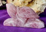 MD-LG. Rose Quartz Crystal Turtle on Rock Carving ✨🩷🌹🐢🪨