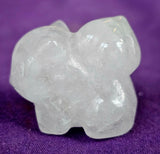 Assorted Crystal Bulbasaur Pokemon 🐸🌺💚