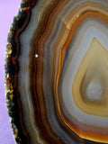 Queensland Agate Crystal Polished Geode 💥✨🔥🪨