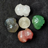 Assorted Crystal Bulbasaur Pokemon 🐸🌺💚