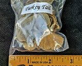 Fresh Cut & Dried Organic Turkey Tail 🍄🦃🌿