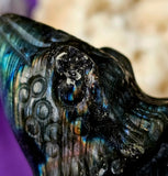 LG. Rainbow Flash Labradorite Crystal Lizard Basking on Rock Carving #2 🦎🩶🌈🪨✨🤩