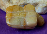 SM. Yellow Calcite Crystal Turtle Carving ✨🐢🟡💛