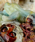XL Caribbean Calcite Crystal Frog on Flower Carving ✨🐸🤯🤩💎🐚🌊🪸🐸