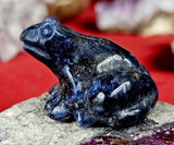 Sodalite Crystal Frog Figurine 🐸