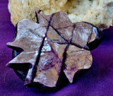 ✨RARE✨ MD. Grade A++ Purple Mica Crystal Turtle Carving 🐢✨ 🤩 🤯 💜🐢