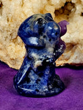 Sodalite Kitty Grim Reaper w/Lepidolite Crystal Raven Figurine 😍🐦‍⬛✨🥹🐈💀
