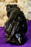 LG. Rainbow Flash Labradorite Crystal Lizard Basking on Rock Carving #1 🦎🩶🌈🪨✨🤩
