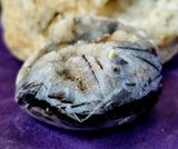 Partially Raw/Polished Black and White Sphalerite Crystal Freeform 🖤💎✨🤍