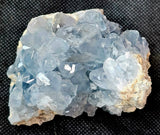 Raw Celestite Crystal Geode Specimen ✨🩵💎✨💙