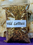 Fresh Cut & Dried Organic Wild Lettuce 🥬🌰🌿