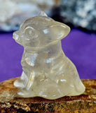 Assorted Crystal Dog Figurines 🐶🐕🐾🦴💎✨