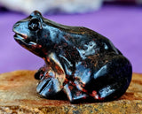 Black Plum Blossom Jasper Crystal Frog Carving 🐸✨🥹💎
