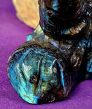 LG. Rainbow Flash Labradorite Crystal Lizard Basking on Rock Carving #1 🦎🩶🌈🪨✨🤩