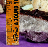 LG. Raw Red Capped Hematoid Phantom Quartz Crystal Cluster 💎😍✨♥️🍒