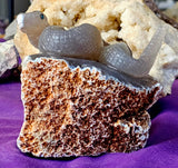 LG. Purple Agate Crystal Druzy Snake on Rock Carving 🐍🤯✨💥🤩🪨