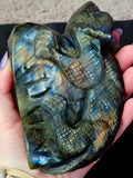 LG. Rainbow Flash Labradorite Crystal Lizard Basking on Rock Carving #1 🦎🩶🌈🪨✨🤩