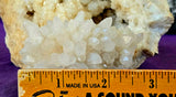 Raw Flowering Dogtooth Calcite Crystal Specimen 🦷🌸✨🐶