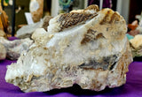 MASSIVE & HEAVY Raw Quartz Cluster Specimen w/100+ Terminations & Carved in Lizard Sculpture 🤯✨😍🦎