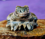 Yellow Jasper Crystal Frog Carving 🐸✨🥹💎