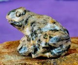 Yellow Jasper Crystal Frog Carving 🐸✨🥹💎