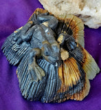 XL Caribbean Calcite Crystal Frog on a Flower Carving ✨🌊🐸🐚💚🩵