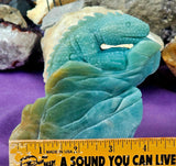 Hand Carved Caribbean Calcite Crystal Stone Iguana  Lizard Figurine 🦎🐚🌊