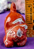 MD. Red Jasper Crystal Carved Kitty Cat Figurine ♥️✨♥️🐈😻🐾