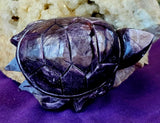 ✨RARE✨ MD. Grade A++ Purple Mica Crystal Turtle Carving 🐢✨ 🤩 🤯 💜🐢