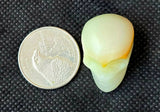 Banded Calcite Crystal Mini Skull 🍂🤎💀💚✨